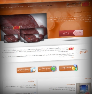 طراحی سایت مجتمع بسته بندی گوشت و فرآورده های دامی نبیان