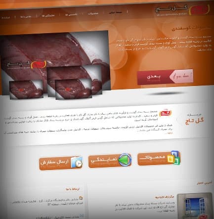 طراحی سایت مجتمع بسته بندی گوشت و فرآورده های دامی نبیان